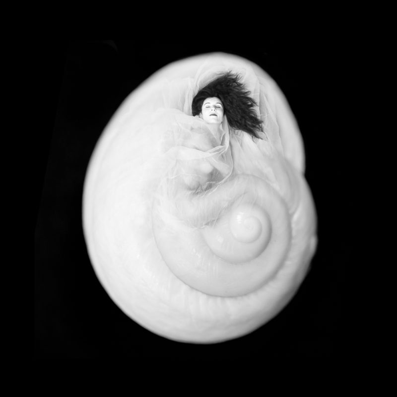 model metamorphoses into a nautilus shell