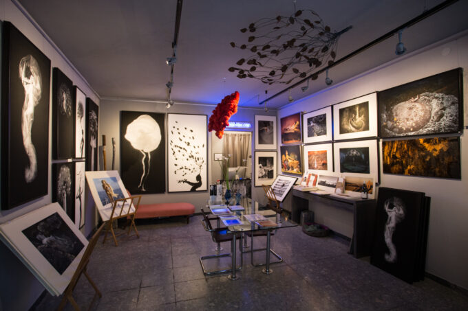 Photography Gallery